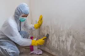 Best Comprehensive Air Testing for Mold Contaminants  in Coburg, OR